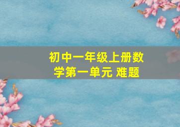 初中一年级上册数学第一单元 难题